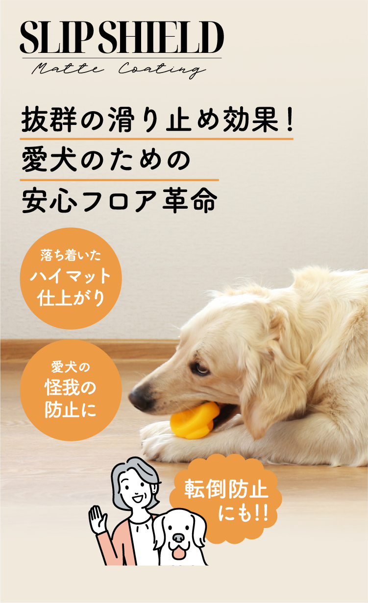 sp_01