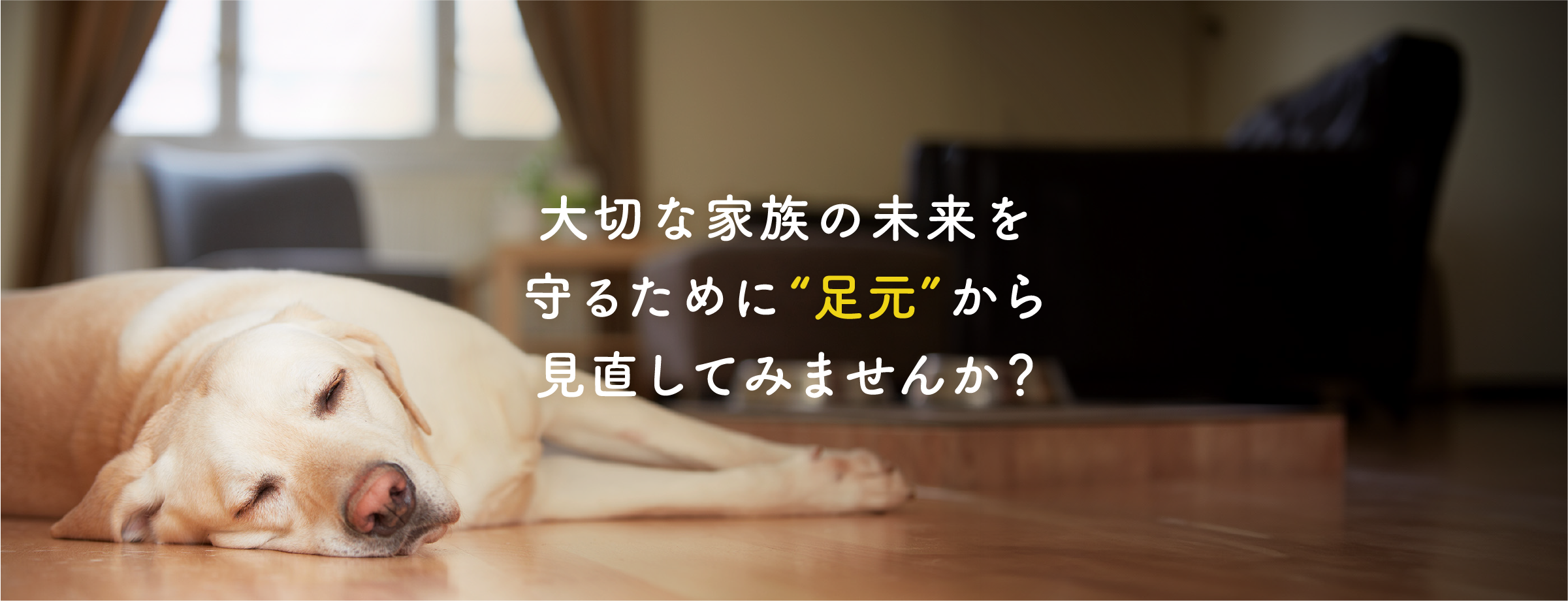 pc_22